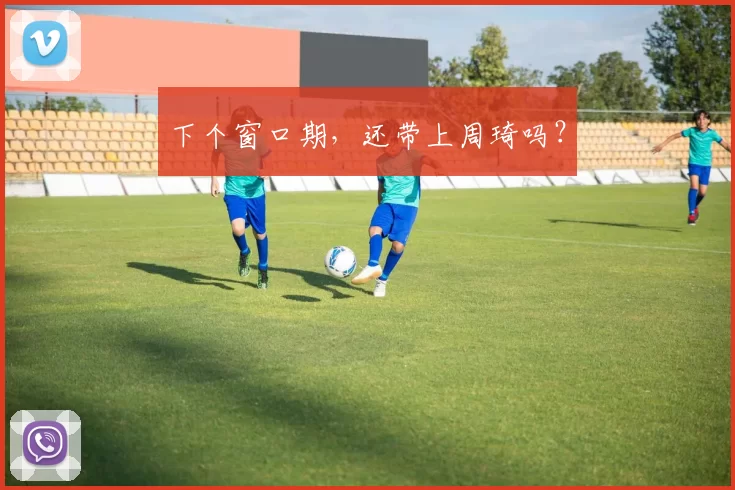 下个窗口期，还带上周琦吗？