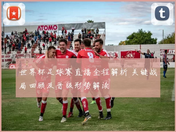 世界杯足球赛直播全程解析 关键战局回顾及晋级形势解读