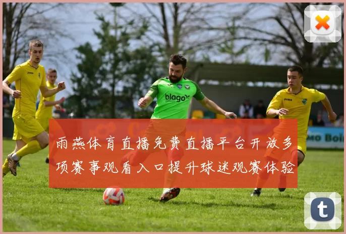 雨燕体育直播免费直播平台开放多项赛事观看入口提升球迷观赛体验