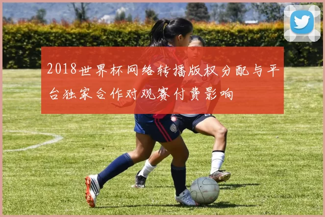 2018世界杯网络转播版权分配与平台独家合作对观赛付费影响