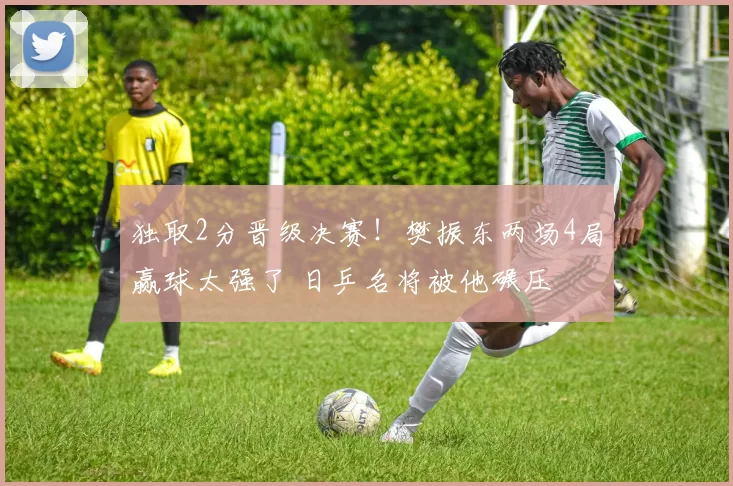 独取2分晋级决赛！樊振东两场4局赢球太强了 日乒名将被他碾压