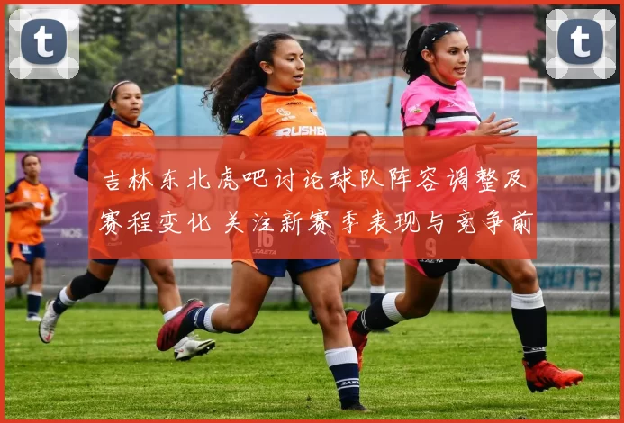 吉林东北虎吧讨论球队阵容调整及赛程变化 关注新赛季表现与竞争前景