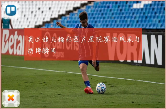 奥运健儿精彩图片展现赛场风采与拼搏瞬间