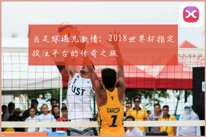 当足球遇见激情：2018世界杯指定投注平台的传奇之旅