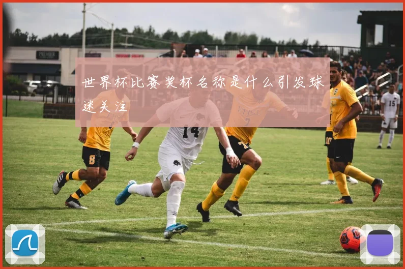 世界杯比赛奖杯名称是什么引发球迷关注