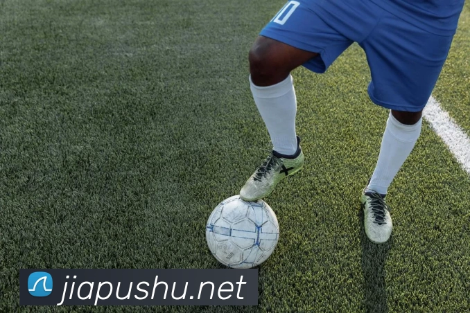 开云app登录入口 - 开云(中国)APP 封面图